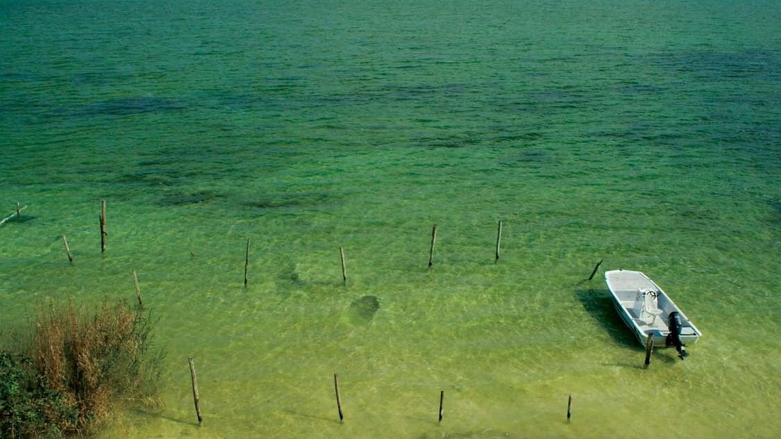 ¿Cuál es la importancia de la Reserva de la Biosfera de Sian Ka’an?