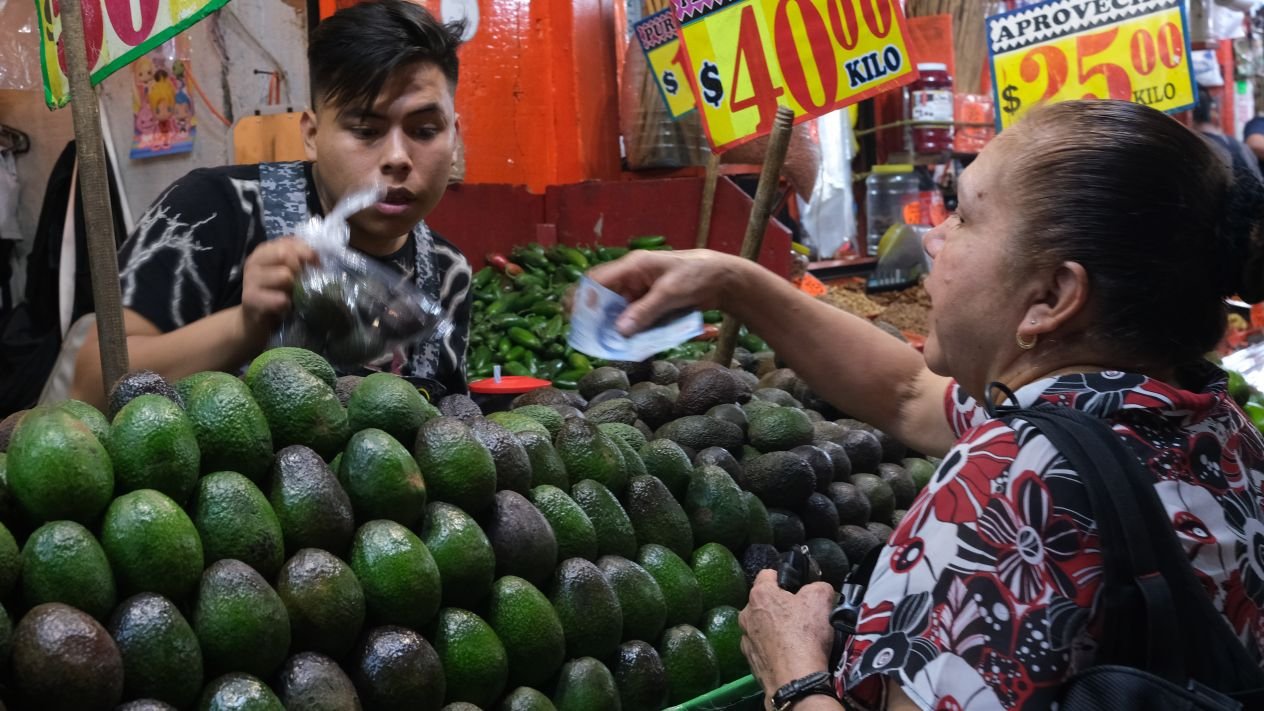 Aguacate baja a 65 pesos en la Central de Abasto