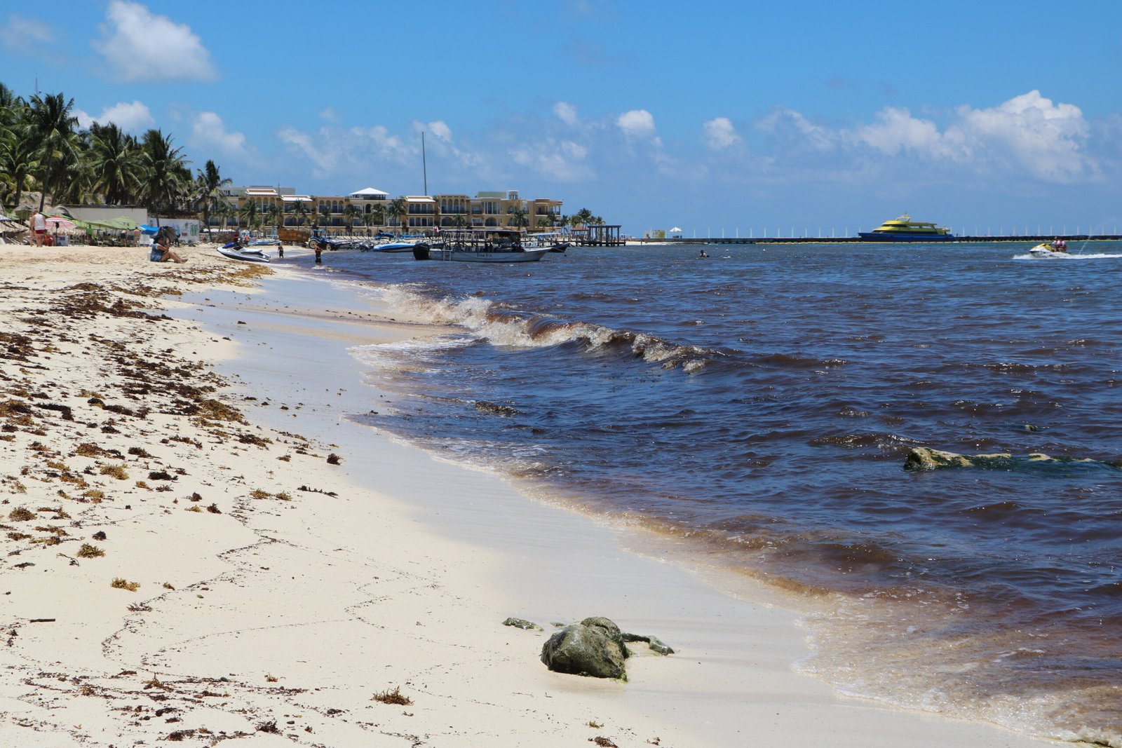 La ‘peste’ del sargazo: un daño mayor que el peor huracán para la Riviera Maya
