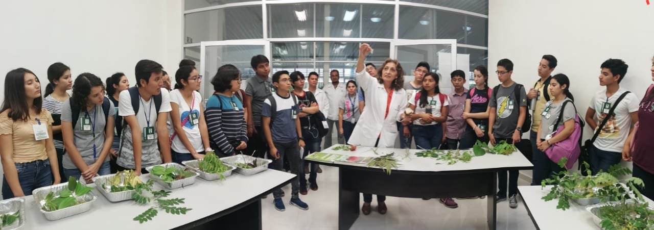 CICY inaugura Tercera Semana de Ciencia para Jóvenes- Talento CICY 2019