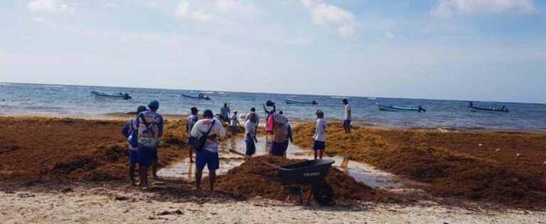 MBIFAFCFQJHPFGKHIDLIMRYHP4