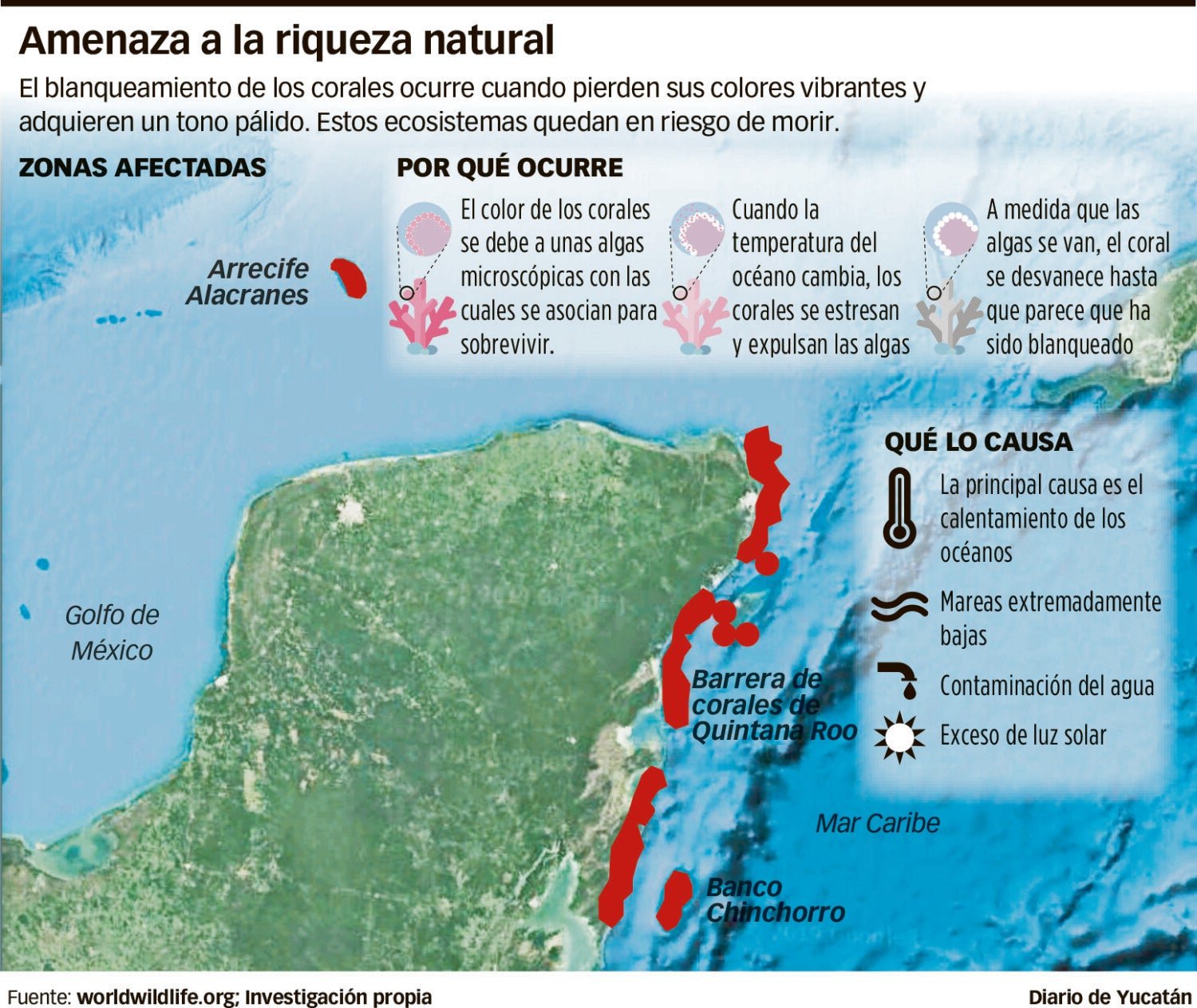 En riesgo los arrecifes