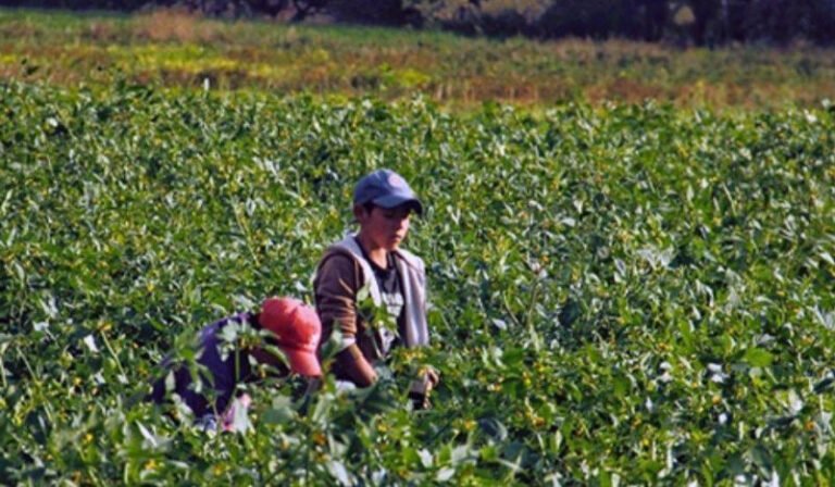 Reforzarán-medidas-globales-para-combatir-el-trabajo-infantil-1-e1564158201128