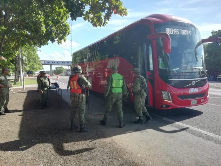 WhatsApp Image 2019-07-31 at 10.46.05 AM(1)