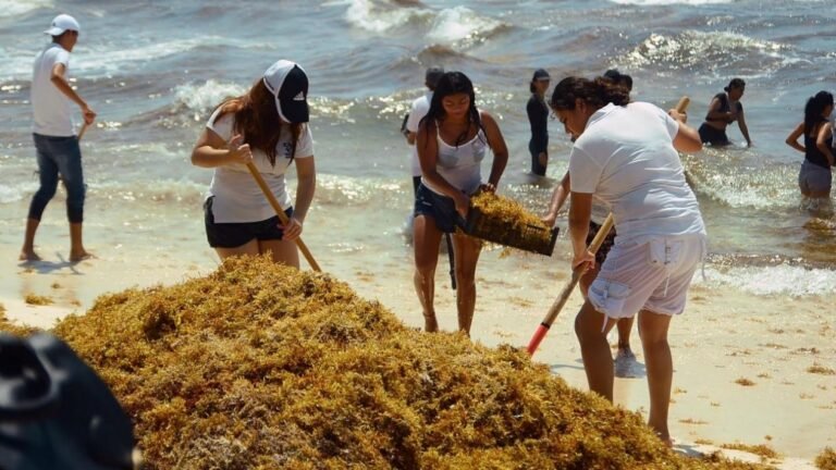 038d5463321558571347_standard_desktop_medium_retina