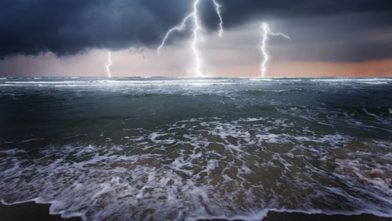 0424d201601565974073_standard_desktop_medium_retina