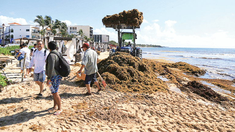 23937b42f91562814423_standard_desktop_medium_retina