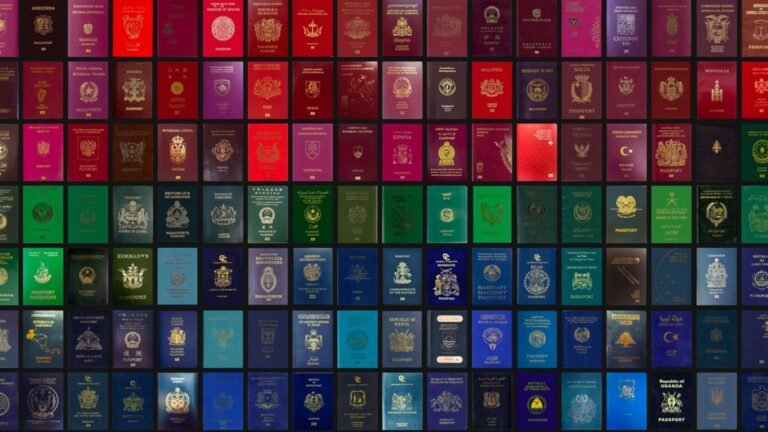 4c9d1fbce41565200627_original_std