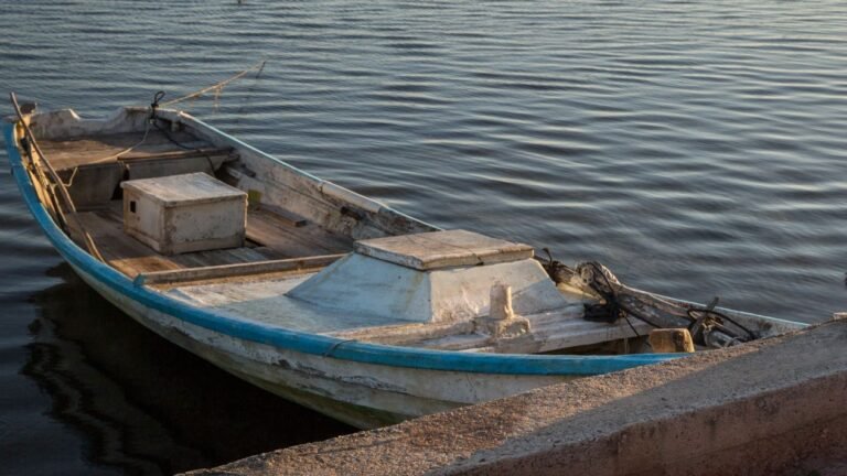 7c9e9afa5a1564701449_standard_desktop_medium_retina