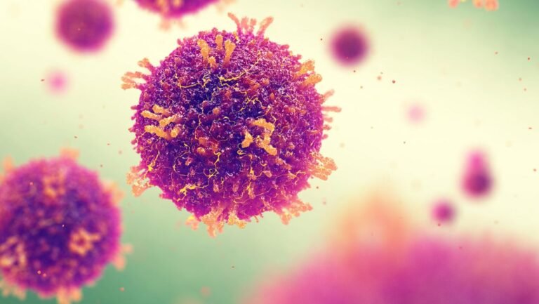 856b503e271565368846_standard_desktop_medium_retina