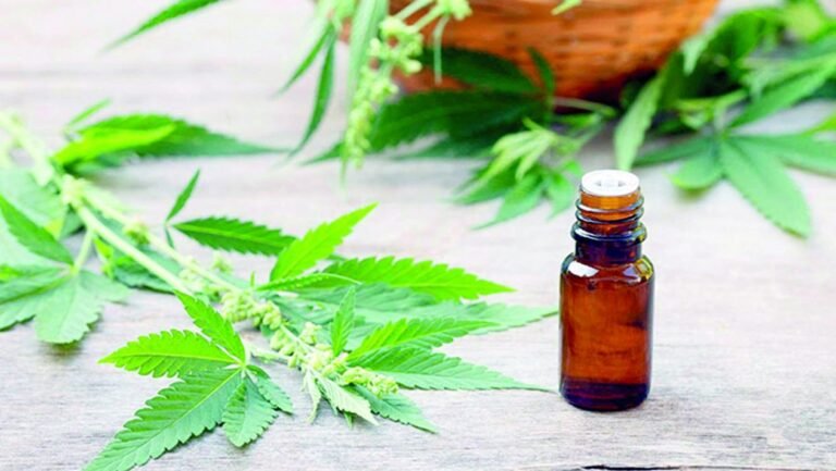 f8a26bb6361554298995_standard_desktop_medium_retina