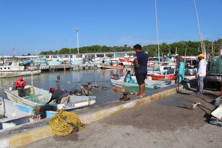 photo5085118618949232616