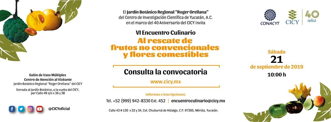 CICY organiza el VI Encuentro Culinario 