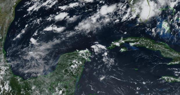 WhatsApp-Image-2019-08-05-at-3.35.45-PM