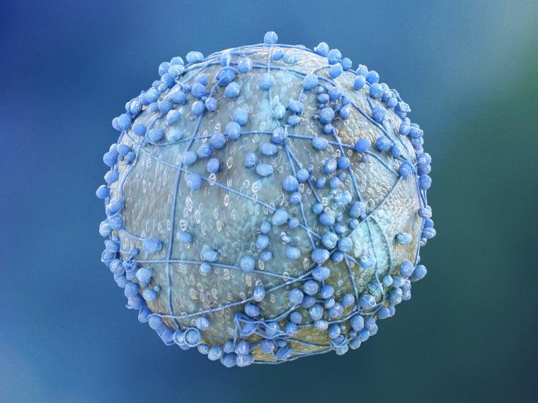 cancer-pancreas-celula