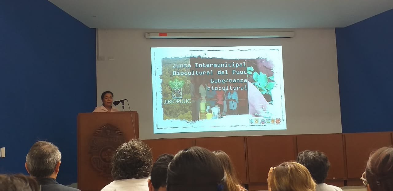 Yucatán pierde entre 20 y 22 mil hectáreas de selva cada año