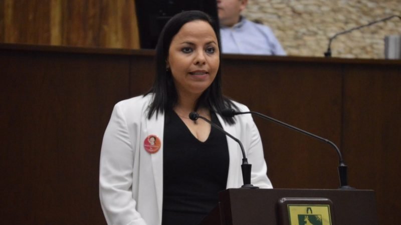 Diputada propone medidas drásticas para vigilar la costa yucateca