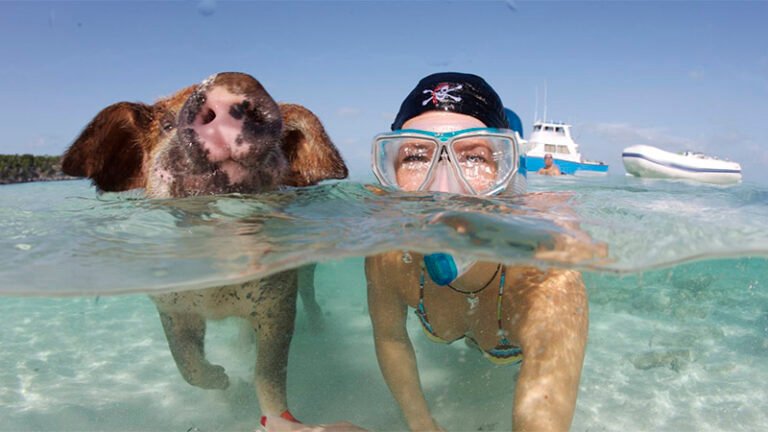 104844523-GettyImages-91650683.1910x1000