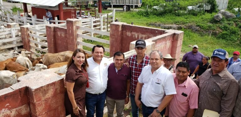 ff1f7b84-a567-4109-918a-c899323b1d87