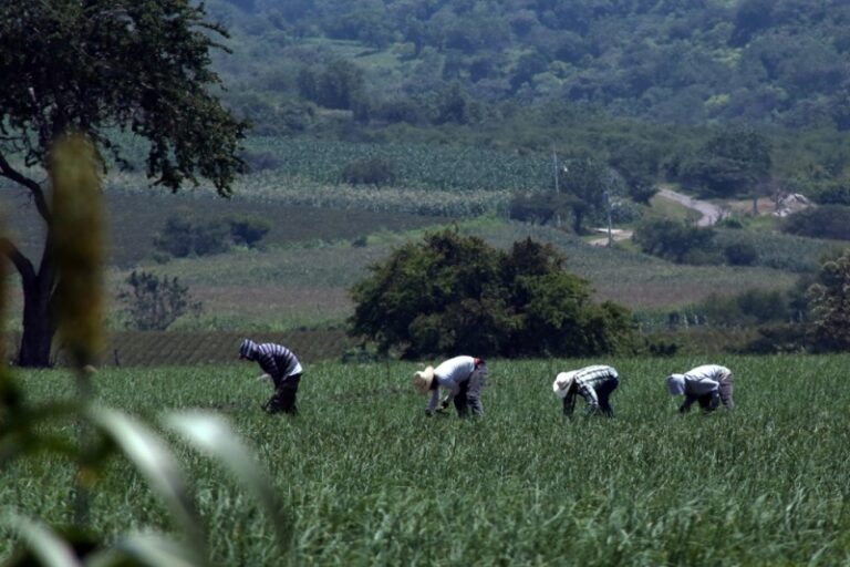 idc.brightspotcdn.com