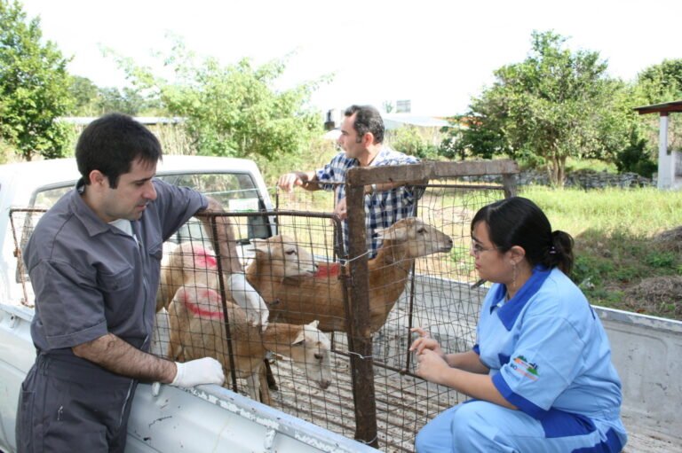 mvz 23oct19 IMG_0444