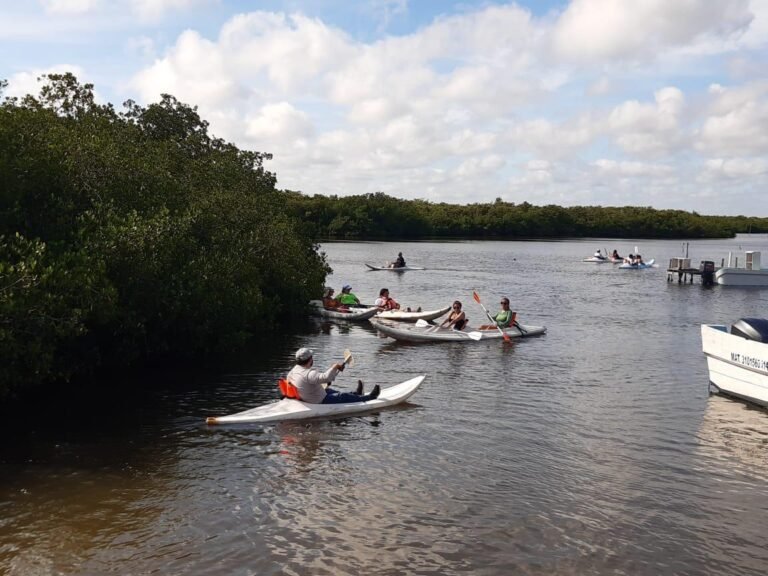 WhatsApp Image 2019-10-22 at 15.56.11