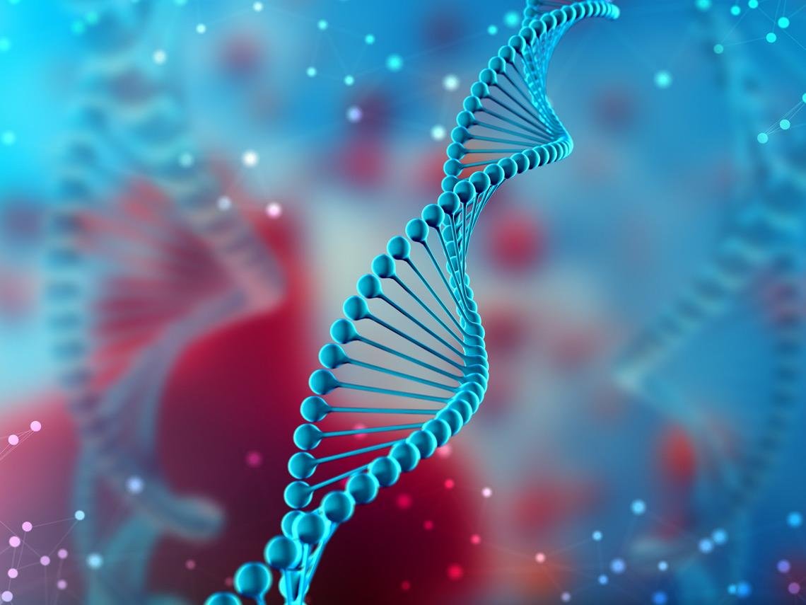 Huella genética de Chernóbil: La radiación altero el ADN de la siguiente generación