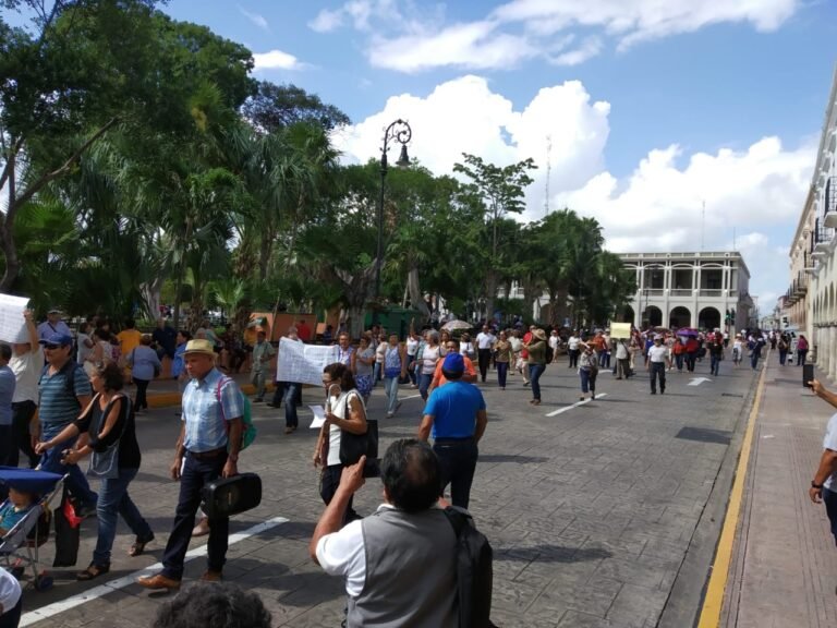 WhatsApp Image 2019-11-04 at 12.25.08 PM