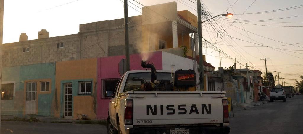 Estrategia continua, clave para controlar el dengue en Yucatán