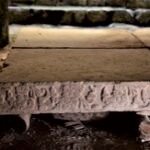 2175B380-A916-4FDA-9903-E224D42E6427_4_5005_c