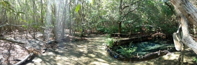 F654F80C-642A-45A3-9726-09ABF384BFBB