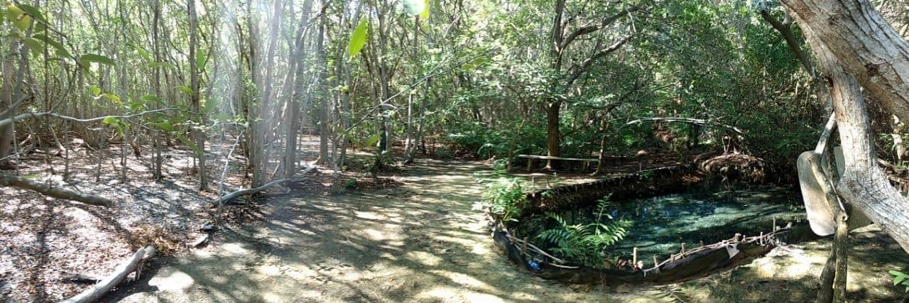 Este lunes reabre sus puertas el eco parque «El Corchito», en Progreso