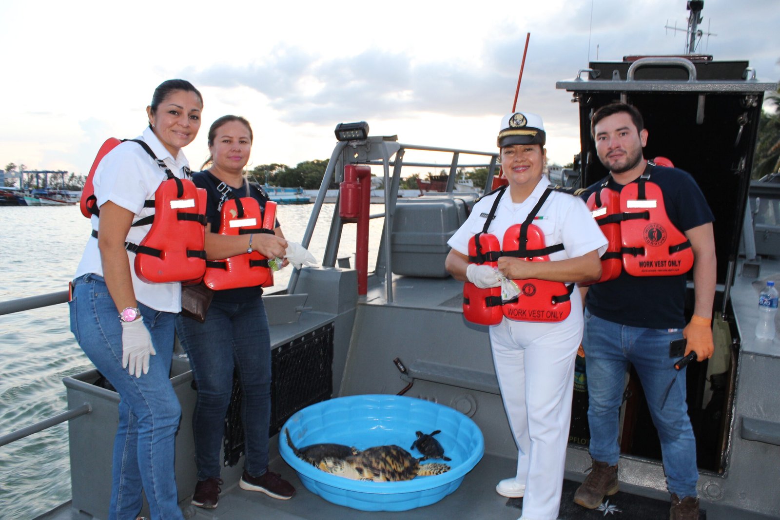 Tortugas marinas vuelven al mar luego de seis meses de rehabilitación en Progreso