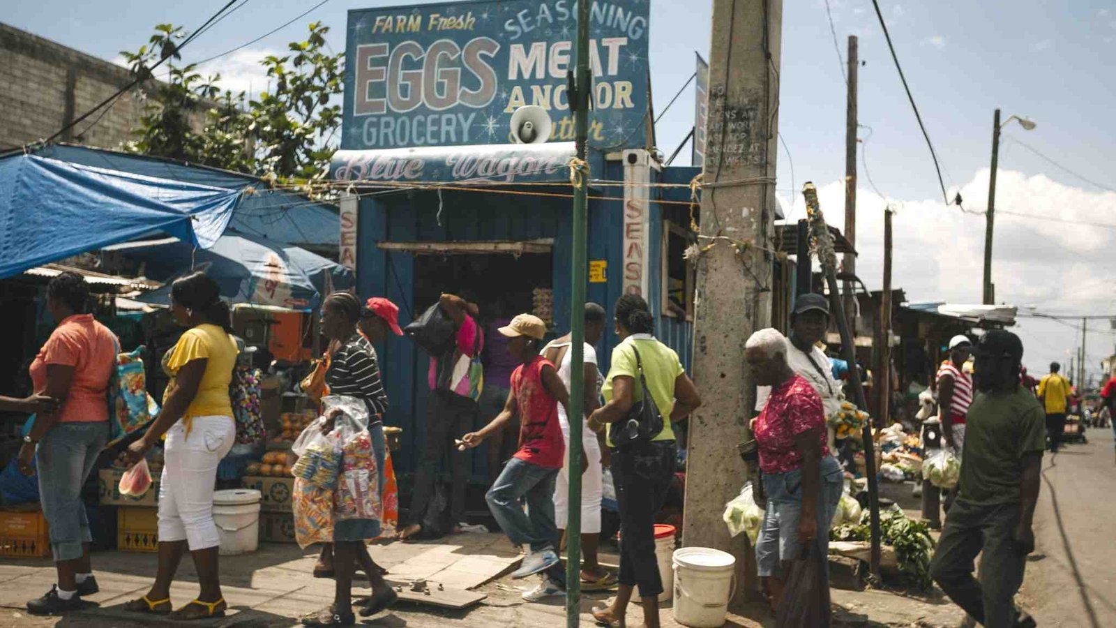 TUI se lanza para ayudar a las pequeñas empresas de turismo en Jamaica