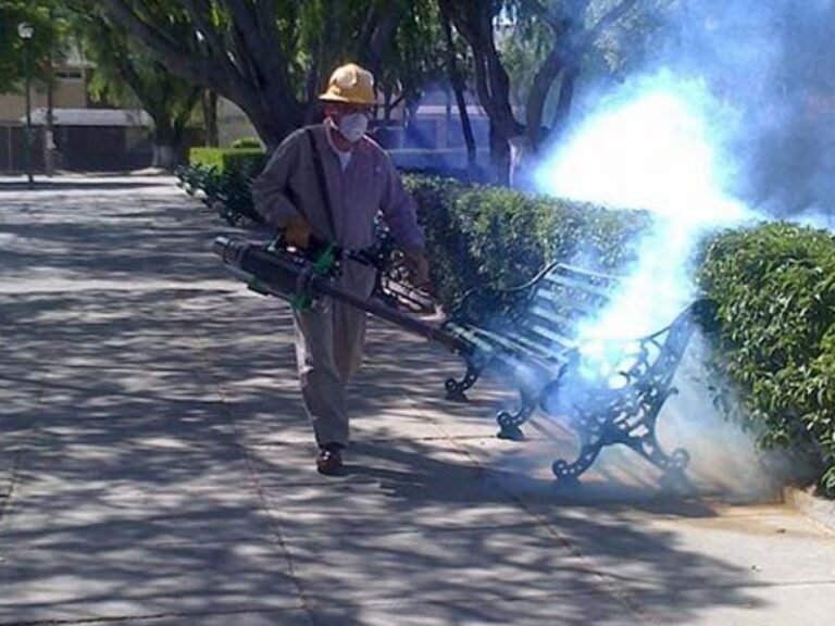 400-vectores-refuerzan-lucha-contra-el-dengue-97768