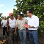 572007C3-E8E7-4CBA-9AF8-3344B6AD81CF