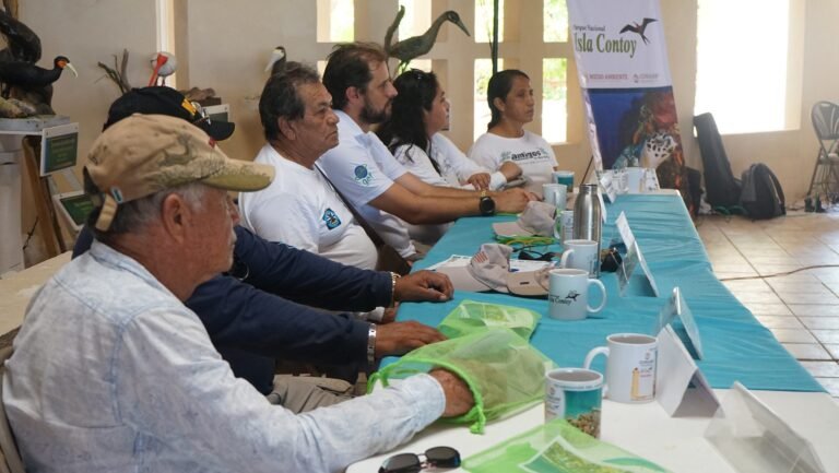 49494499487_aec360647e_k-e1581006804146