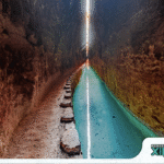 Captura de Pantalla 2020-03-04 a la(s) 16.11.49