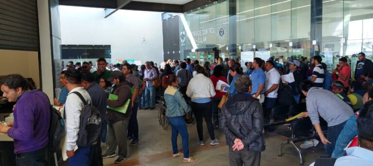 WhatsApp Image 2020-03-02 at 3.05.26 PM-4