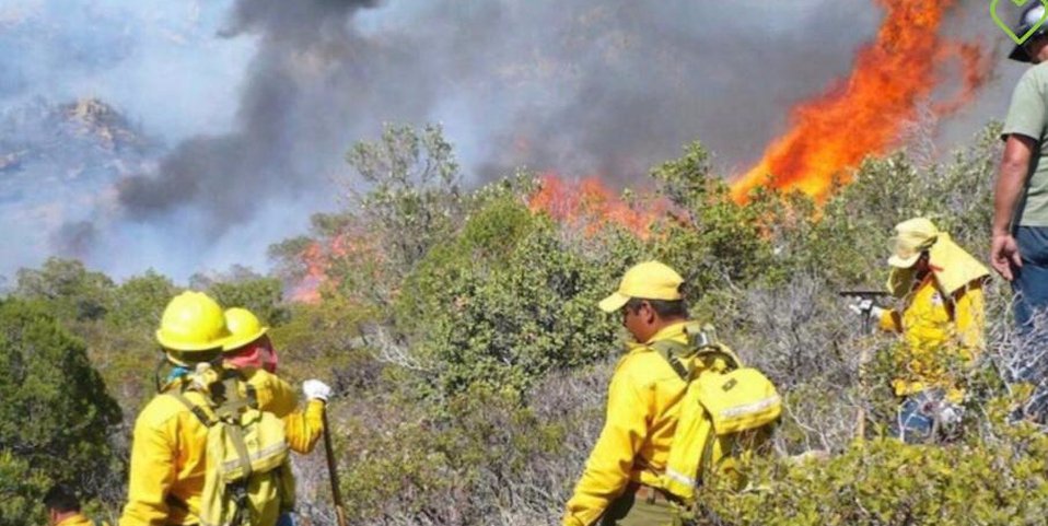 Situación de incendios forestales en Mexico