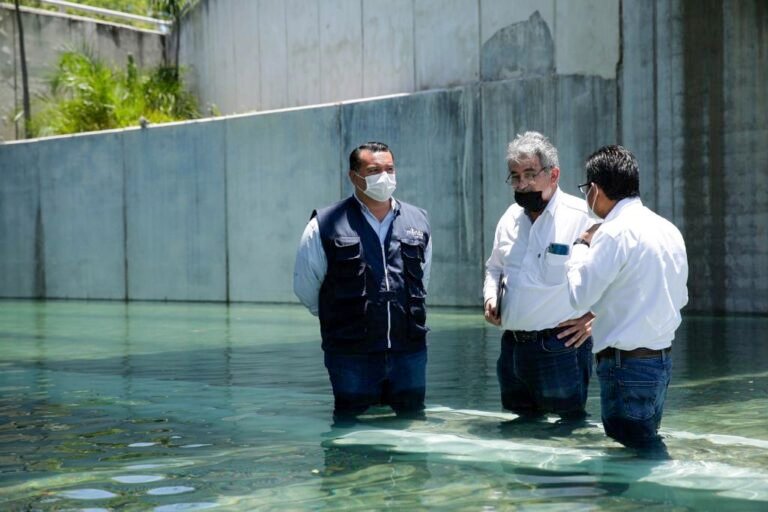 6DA29D97-DDD0-41D7-8471-BC2C2A7E6A59