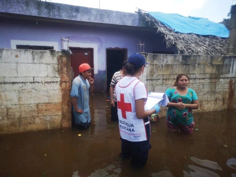 98E2E455-78C4-43DF-BB15-1422EC1024F5