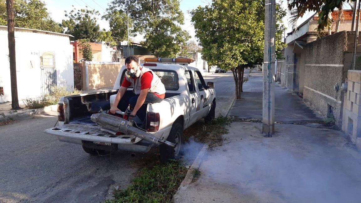 Yucatán fortalece estrategia permanente contra el mosco 