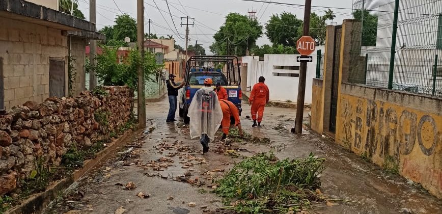 Procivy monitorea afectaciones por lluvia en Yucatán