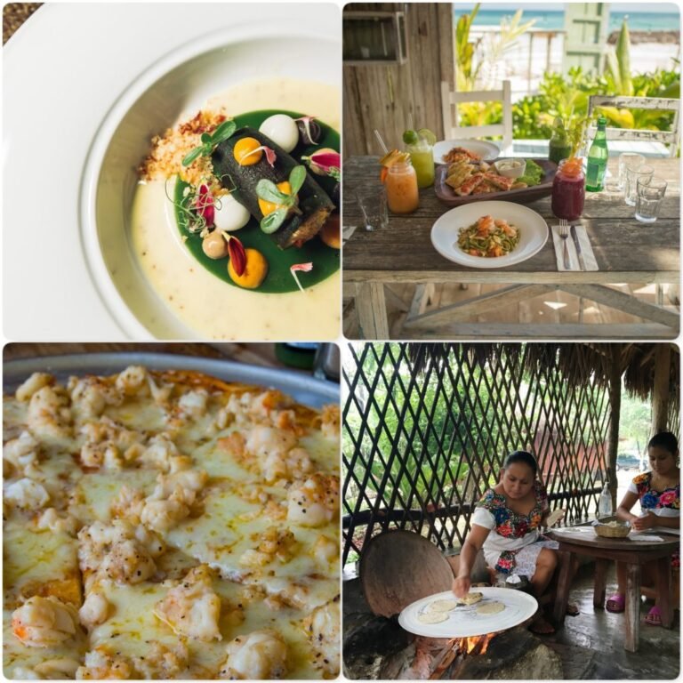 gastronomia-caribe-mexicano-1024x1024