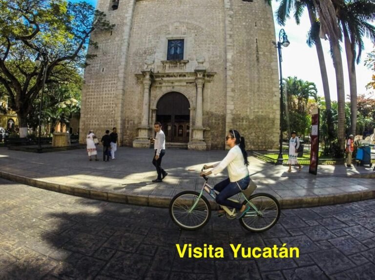 gustavo moguel12794941_1121841411202040_7884812173219656830_o