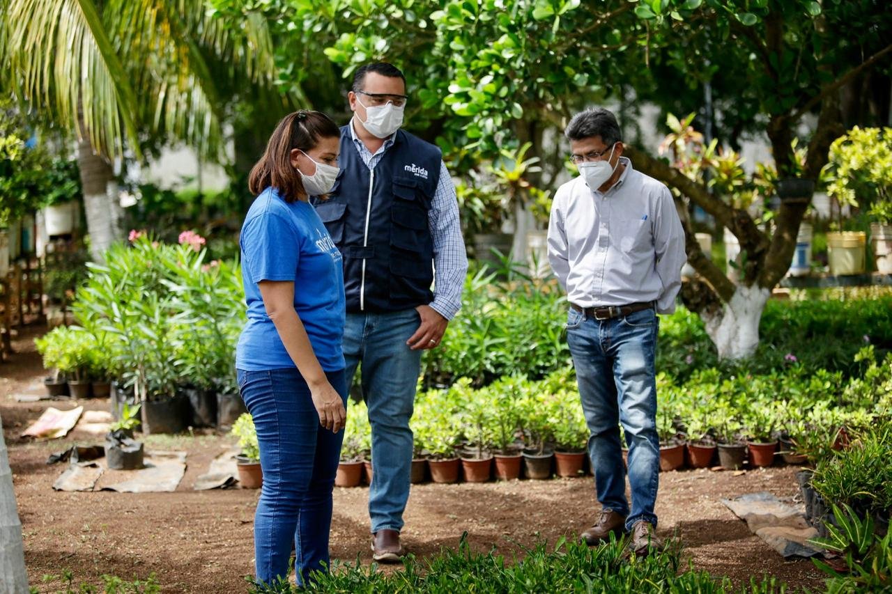 El vivero municipal, pieza clave del municipio, afirma el alcalde Renán Barrera