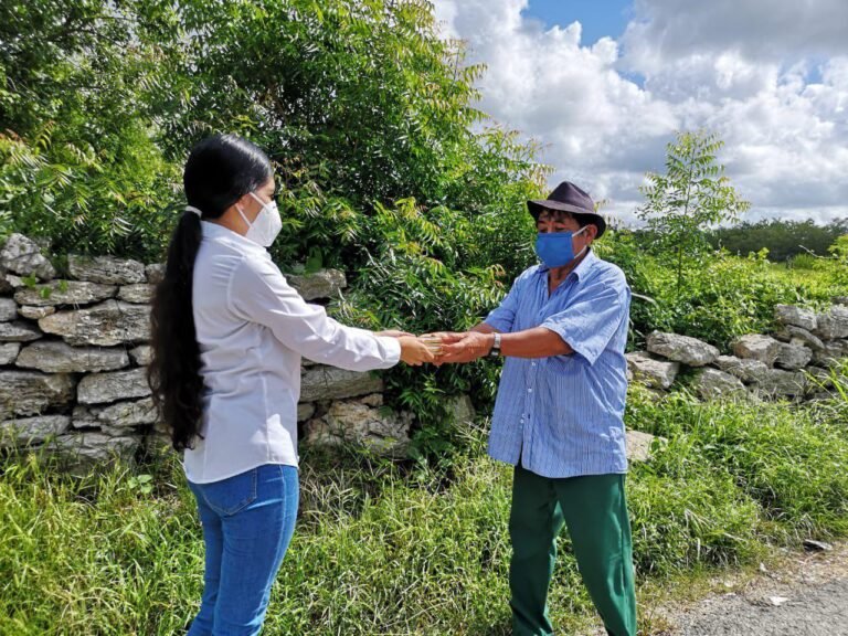 WhatsApp Image 2020-08-08 at 3.05.09 PM