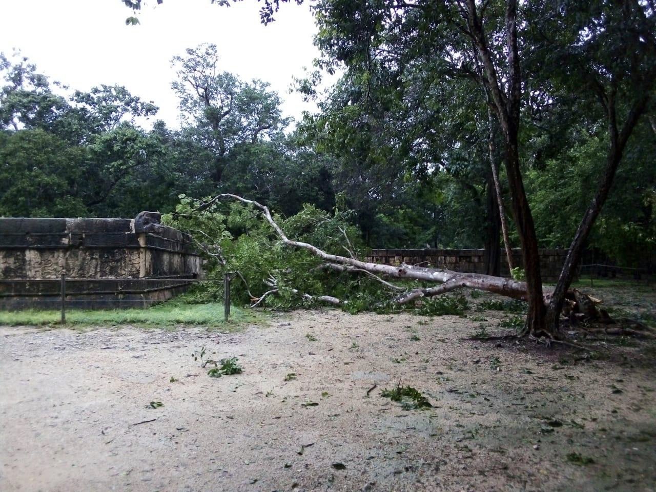 Tormenta Gamma afecta zona arqueológica de Chichen Itzá