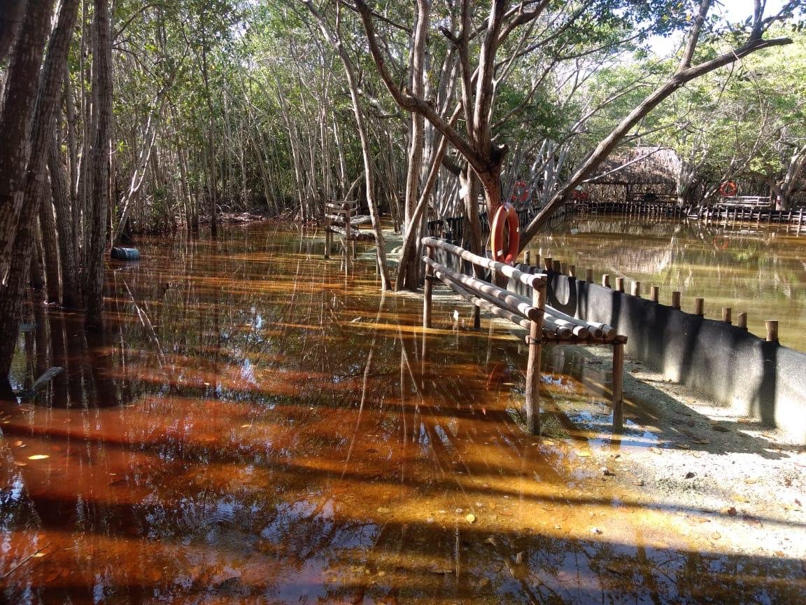 Cultur cierra, por seguridad, otros 5 paradores turísticos por afectaciones de «Gamma»